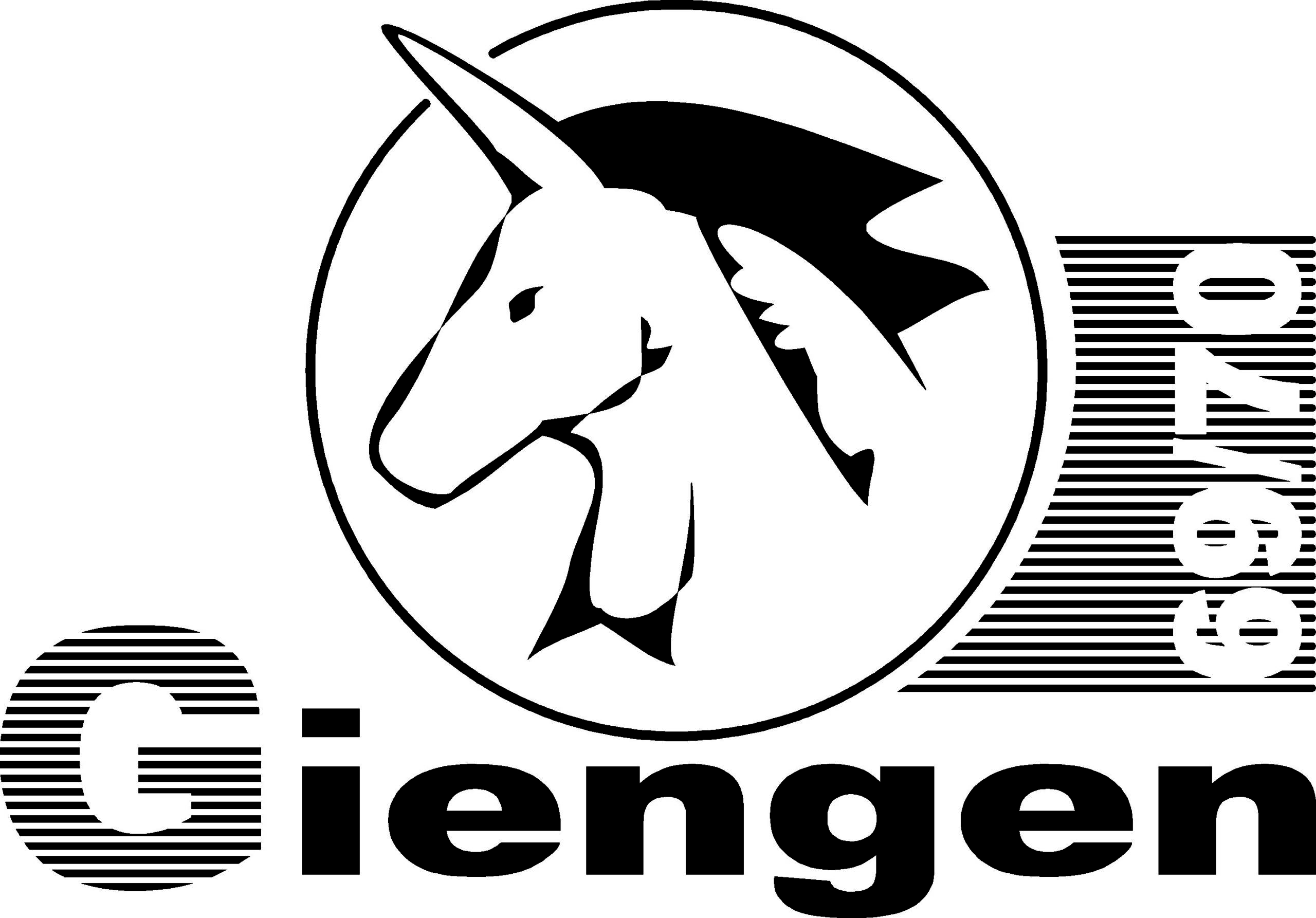 Giengen Jahrgang 1969 - 1970